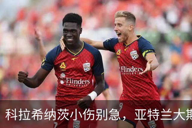 科拉希纳茨小伤别急，亚特兰大期待他早日回归！